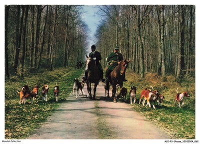 Villers-Cotterêts - Villers-Cotterets - Chasse à Courre - La meute