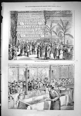 Alter Druck Butterherstellung große Käsetrophäenfabrik Aylesbury Dairy 1876 19.