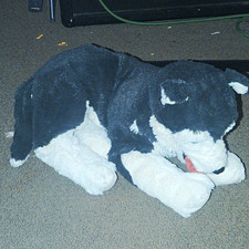 Husky Dog Plush Stuffed Animal Soft Toy, Medium 14-24 in, Gray/White, Age 3-4