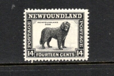 S3564 Newfoundland 1941 Newfoundland Dog perf 12 1/2 1v. MNH | eBay