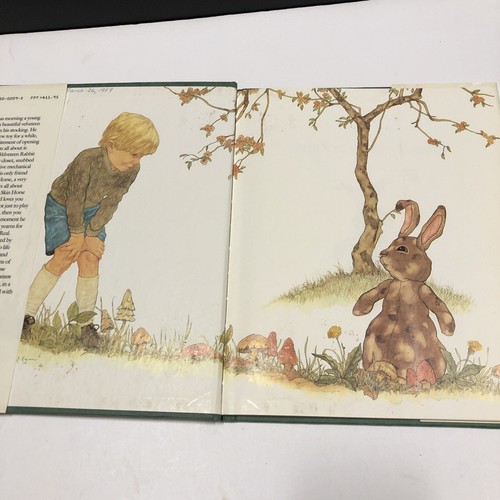 1983 Edition THE VELVETEEN RABBIT Illustrated By MICHAEL HAGUE w/DJ - Picture 4 of 10