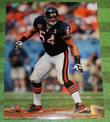 Brian Urlacher Chicago Bears 11x14 Photo File Licensed NFL Photo