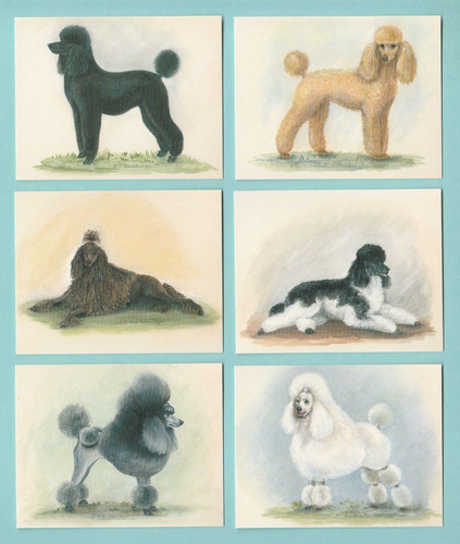 DOGS - POODLES - SET OF L6 CARDS - IMP. PUBLISHING LTD. - 1999 - Picture 1 of 2