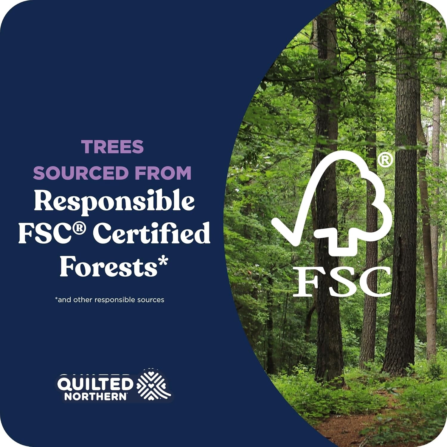 6 Mega Rolls Quilted Northern Ultra Plush Toilet Paper