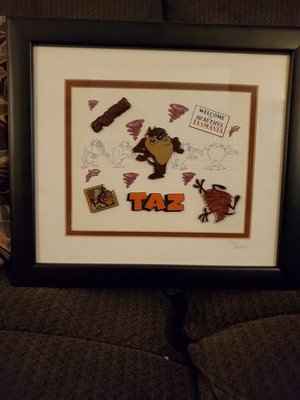 Rare Warner Brothers Taz  Pin Set With Certificate Of Authentication 