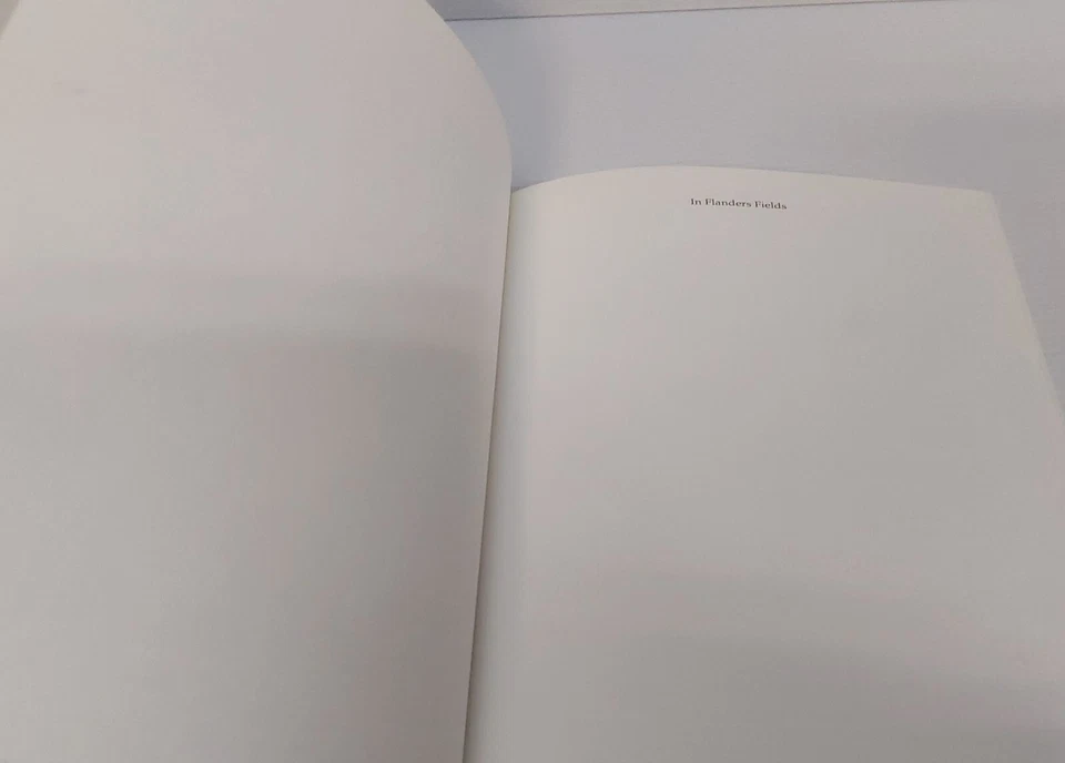 In Flanders Fields - The Story of John McCrae - Herwig Verleyen - image 2 of 4