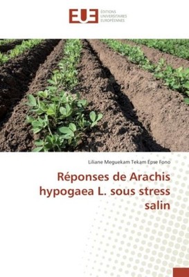 Réponses de Arachis hypogaea L. sous stress salin Liliane Meguekam Tekam Epse Fo