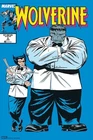 Vintage Marvel Wolverine #8 Comic Book Jun Blue Cover Hulk 12x8in Metal Sign