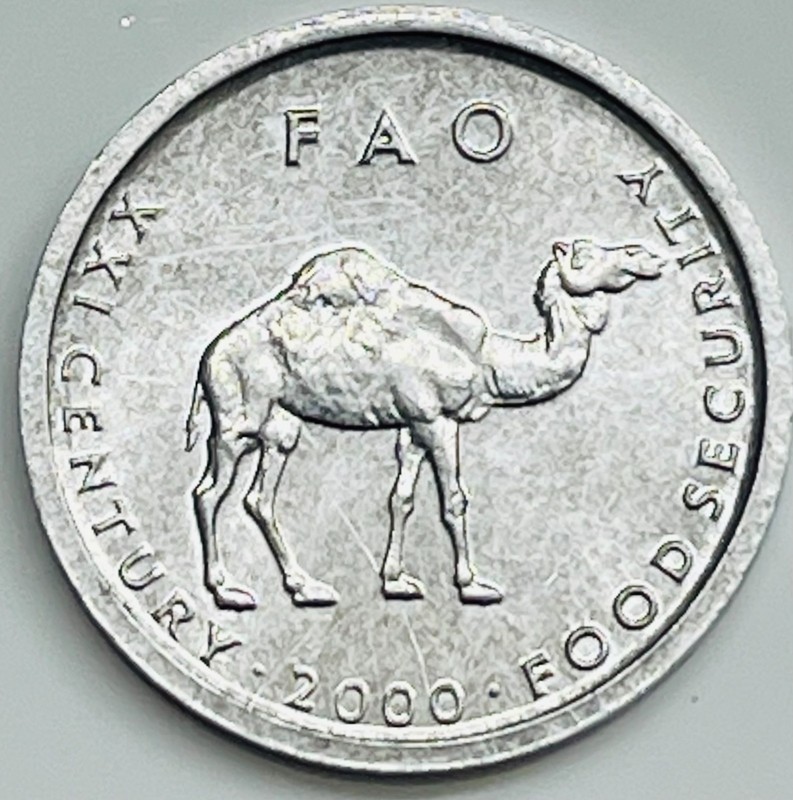 2000 Somalia 10 Shillings KM# 46 Uncirculated Condition