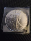 2024 1 oz American Silver Eagle Coin BU