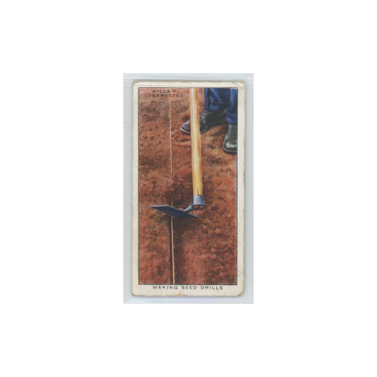 1923 Wills' Cigarettes Garden Hints Making Seed Drills #15