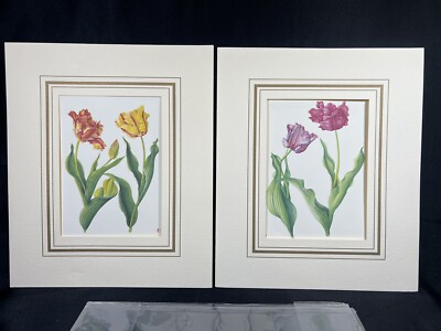 VTG Set 2 NOS Botanical Floral Flower Prints Opened Cottage Core Map Es Monde