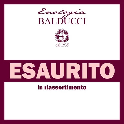 Spumantiera Secchiello Professionale Wood XL Ice bowl - By Pulltex® champagne