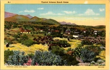 State Of Arizona AZ : PANORAMIC SCENE d/24 BE5519