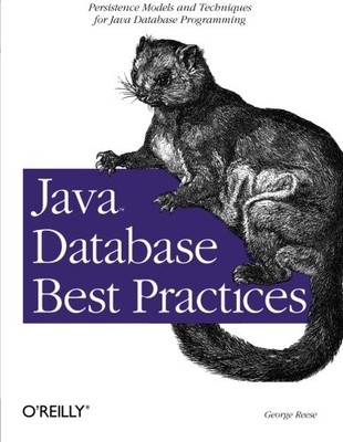 JAVA DATABASE BEST PRACTICES By George Reese **BRAND NEW**