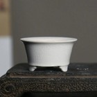 Picture 7 of 16