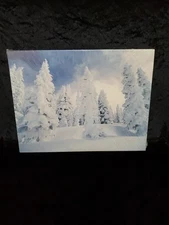 NIB Springbok Hallmark Winter SnowScape 500 Interlocking  piece Jigsaw Puzzle 