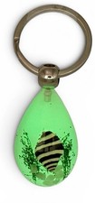 Glow in the Dark Handmade Resin Ocean Keychain Real Seashell Beach Gift