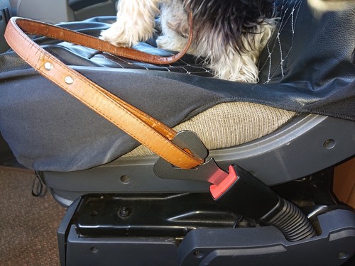 NUEVO CINTURÓN DE SEGURIDAD MULTI GANCHOS CALIDAD DISEÑO INOXIDABLE / CÁMPER / FURGONETA / AUTOCARAVANA - Imagen 6 de 9
