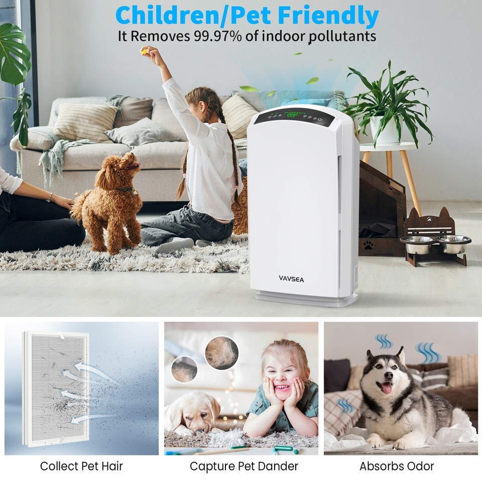 Large Air Purifier Carbon Filter Pet Allergies Dust Pollen Quiet Timer