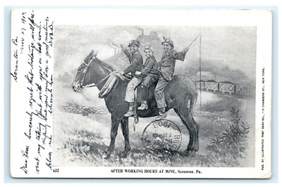 After Working Hours at Mine Scranton PA Boys Donkey UDB Undivided Postcard D3 