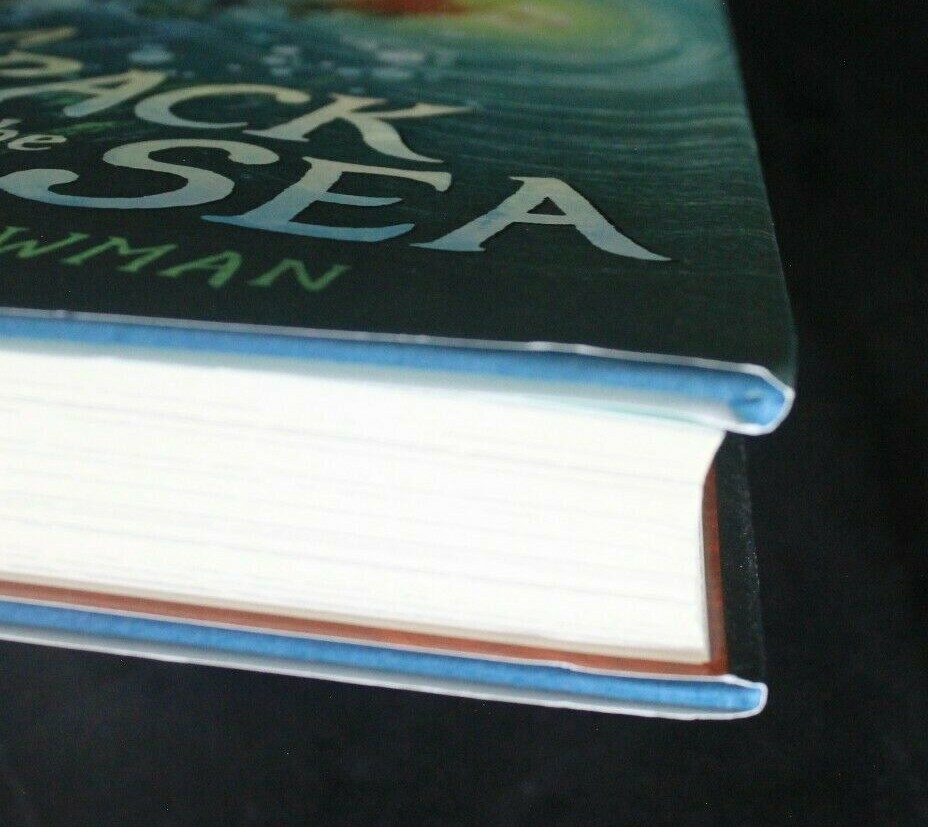 A Crack in the Sea by H. M. Bouwman (2017, Hardcover) for sale online ...