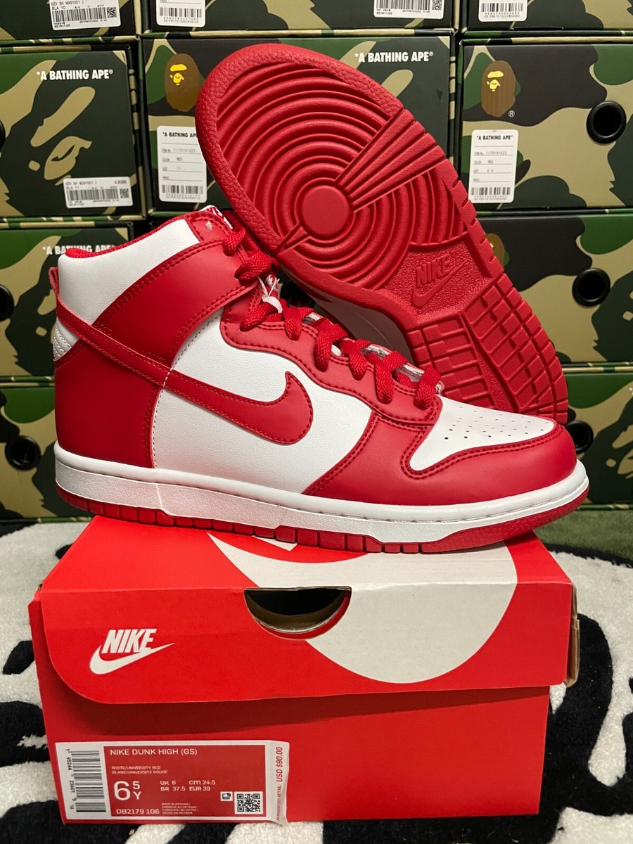 Nike Dunk High \