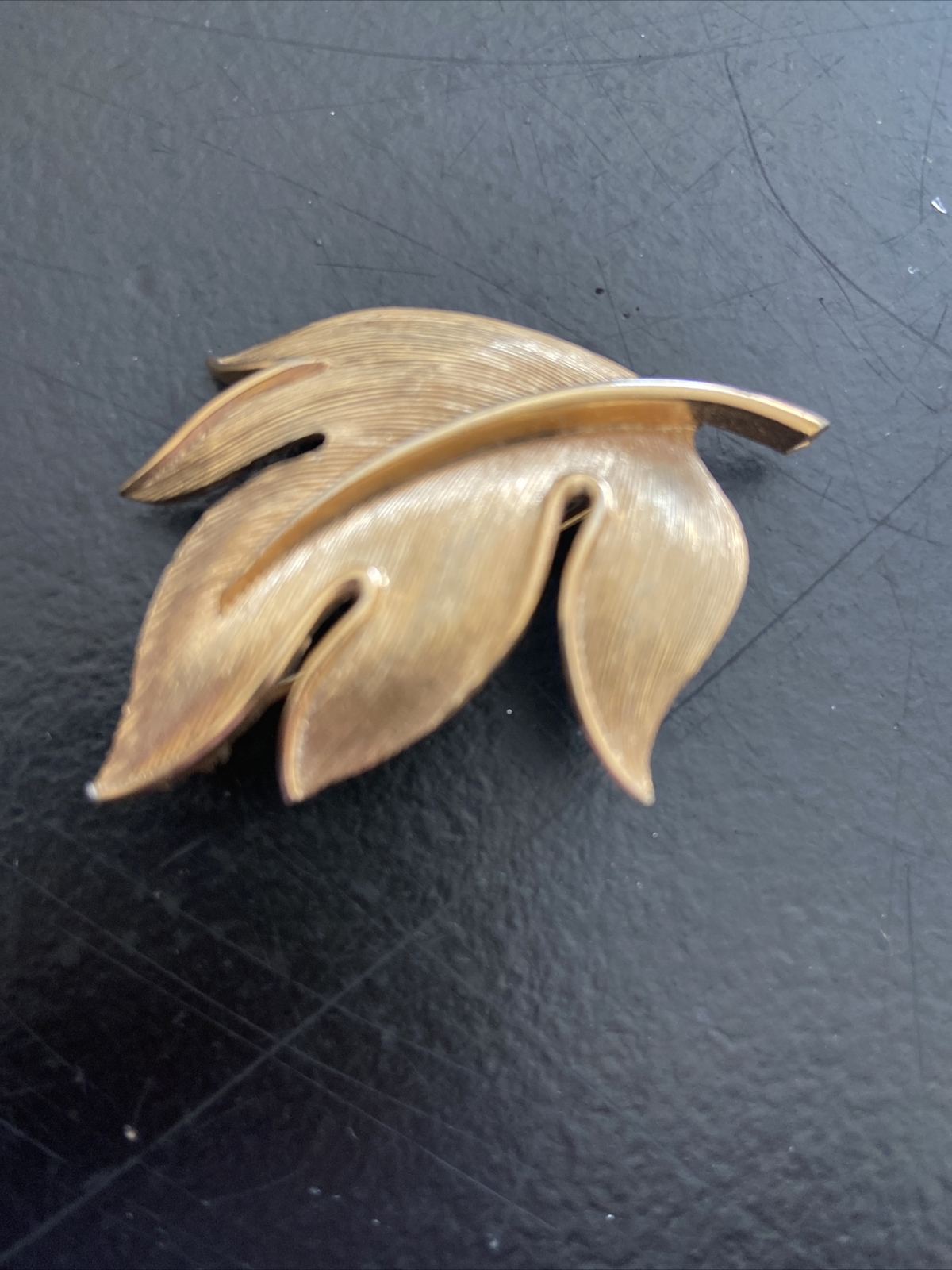 Picture 5 of 5