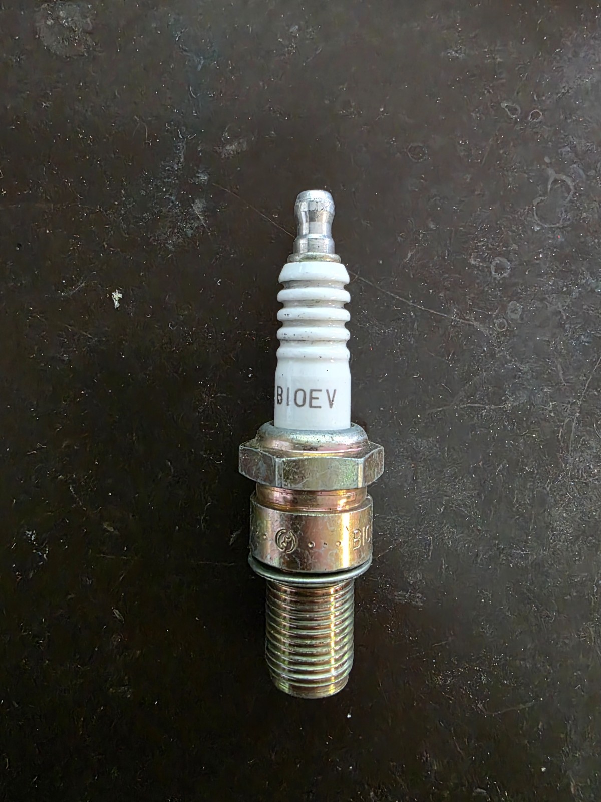 NGK B10EV spark plug new