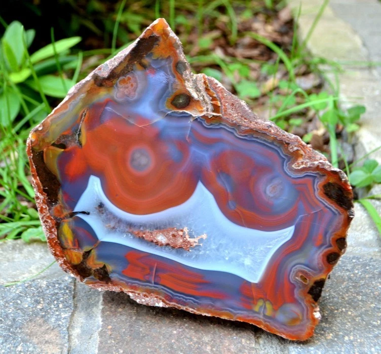 Condor Agate for sale | eBay