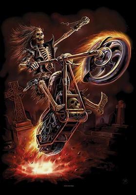ANNE STOKES FLAGGE FAHNE HELLRIDER POSTERFLAGGE STOFF POSTER FLAG