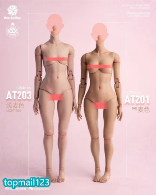 1/6 Scale Female Body 1/6 Scale Female Model Body - Worldbox AT203