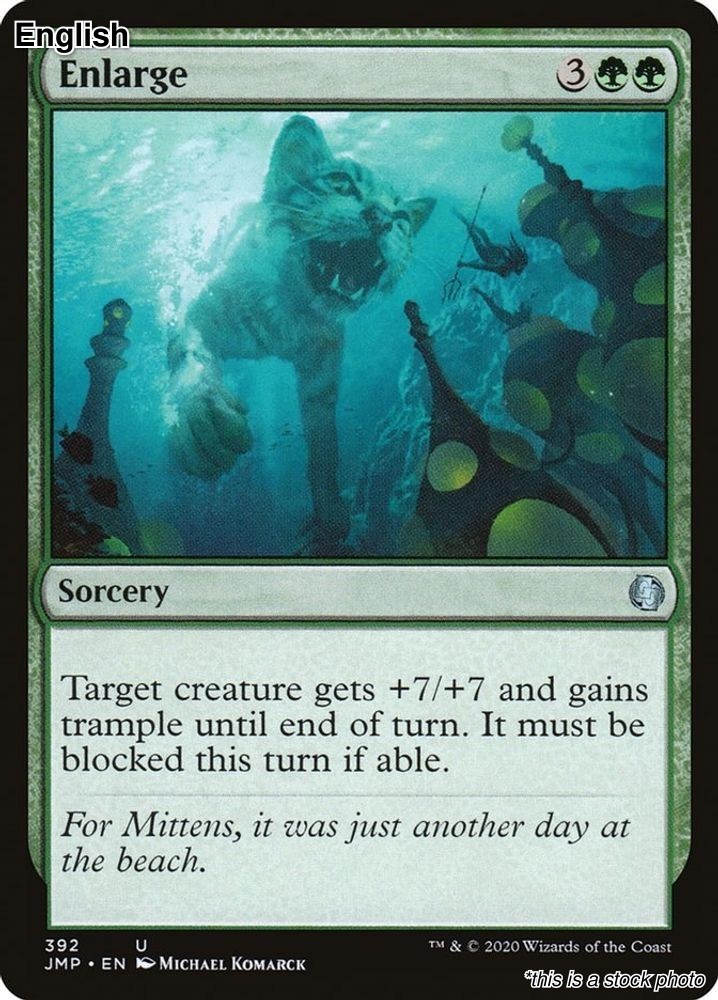 MTG Enlarge [JMP - 392] LP