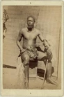 A Zulu male with weapon and shield in traditional dress. 1880's.