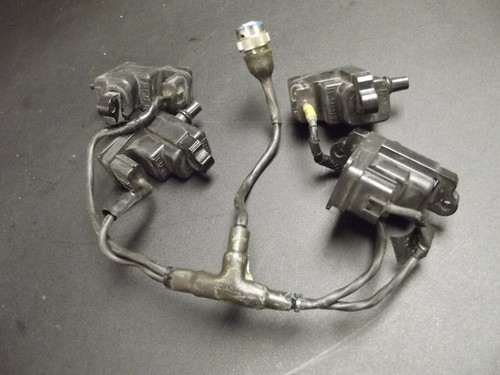 Indycar Infinity Engine IRL Coil Paks Packs Dallara G-Force Indy 500 Cheever 
