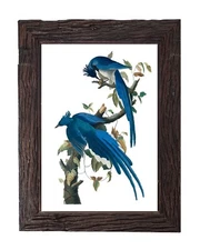 Blue Bird Print Botanical Print Wall Art Vintage Bird Print Audubon Bird Print