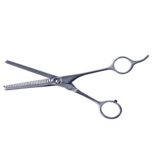 Forbici Dentate Professionali Per Capelli 6.5 In Acciaio Inox