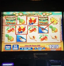 BB1 LUAU LOOT SLOT  MACHINE GAME CARD & OS SET WMS TESTED FUN PLAY BLUEBIRD 1