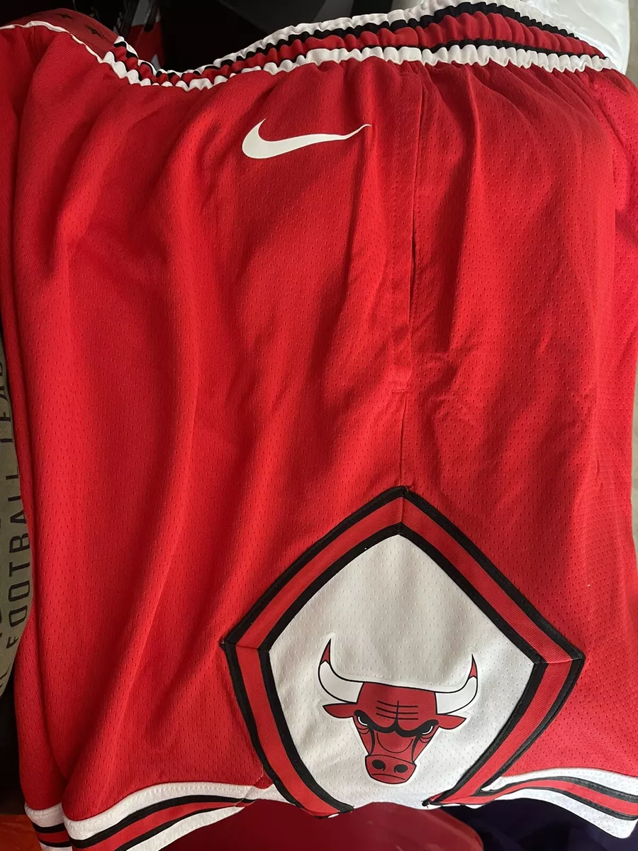 Chicago Bulls Men's Nike NBA Shorts