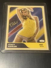 2026 WWE Divas  Stacy Keibler Sexy Top Underwear  Card  🔥