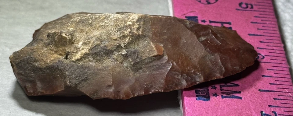 STEMITRANSLUCENT 2 & 1/2 英寸正品艺术 ARROWHEAD FLORIDA GEORGIA *5 — 第 2/4 张图片