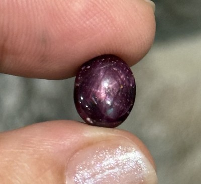 6.75ct 10.5x8.5x6mm Dark Red 6 Ray Star Ruby Oval Cabochon Ring Gem
