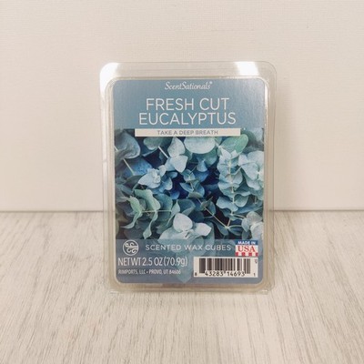 Scentsationals Wachswürfel 1 x 6 Wax Melts Pack Fresh Cut Eukalyptus