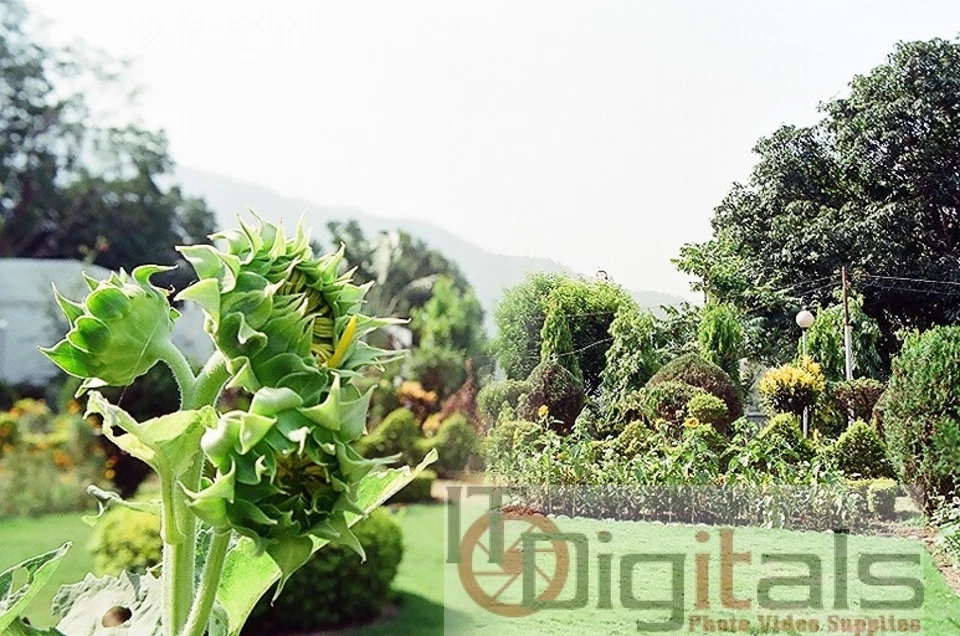 52mm Split Field Two Field Special Effects Lens Filter Two Depth Of View 52 mm - Image 2 of 2