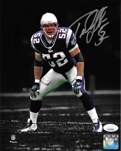 Ted Johnson New England Patriots Autographed Signed 8x10 Photo JSA-coa-