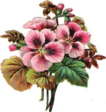 Temporary Tattoo - Set of 2 Wrist Size temporary tattoo approx. 1.5"each 