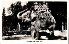 RPPC Vintage Postcard People Riding Elephant PRETORIA ZOO South Africa KJ5