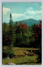 Vintage Vermont Green Mountain Scenic Linen Postcard Tichnor Bros