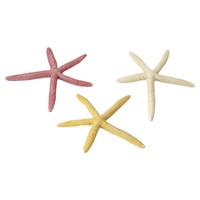 Aqua Della Aquarium Dekoration Starfish Mix 18,5 Cm - Ungiftig & Naturgetreu