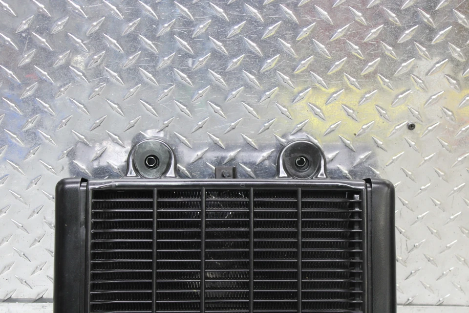 Radiador deportivo Triumph Thunderbird 2000 (98-03) T2102135 Foto 2 de 4